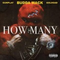 HOW MANY (feat. Gunplay & Goldgad)(Explicit)