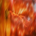 fallin' (Explicit)