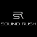 Disarm You (Sound Rush Remix)