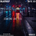 Someone Like You (feat. Silverdeep & Shakes)