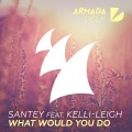 What Would You Do (Pablo Nouvelle Remix)