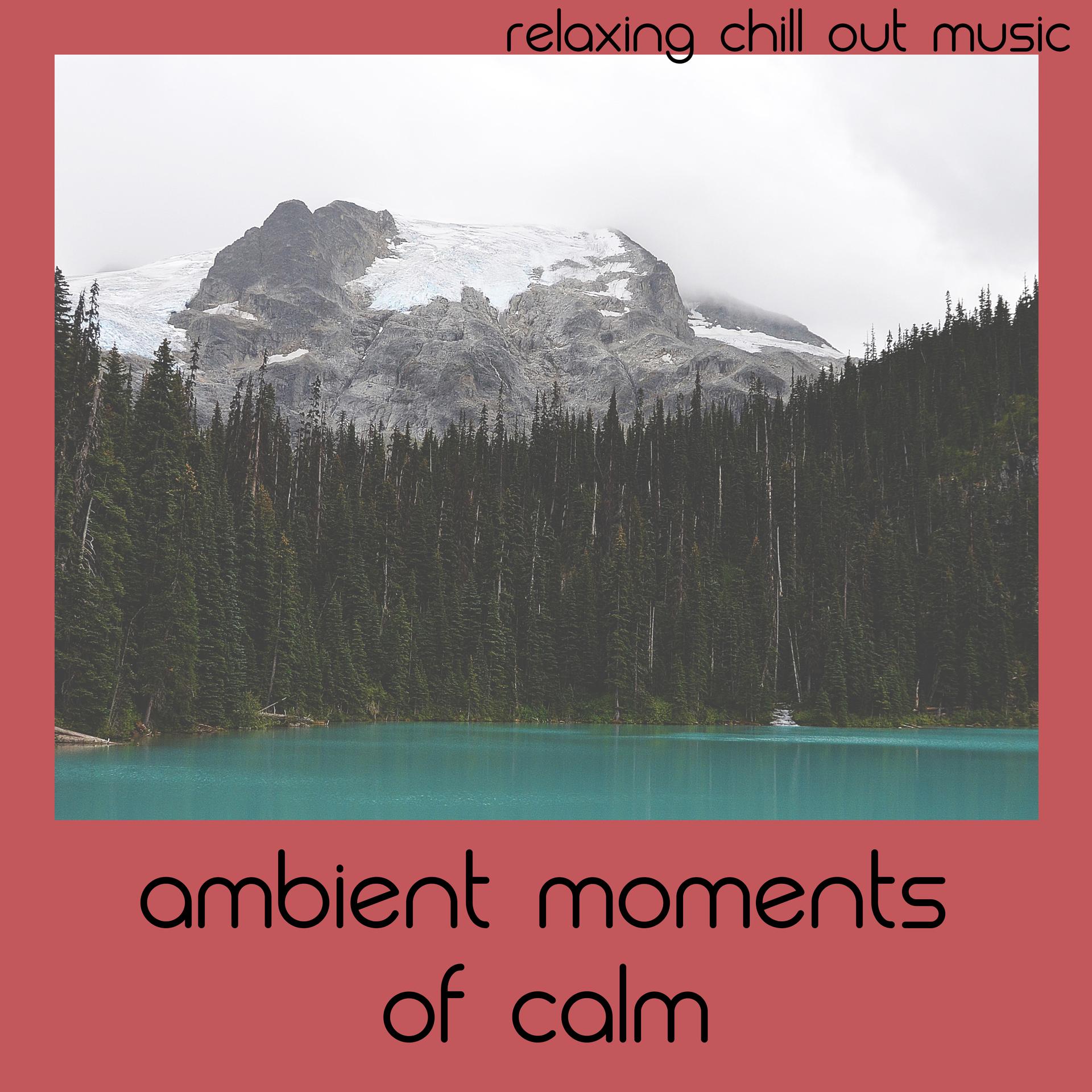 Ambient Moments Of Calm