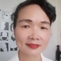 春舒 - 片片枫叶情