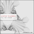 Mister Tenebrio、Denny Kay - Falling Under (Denny Kay Remix)