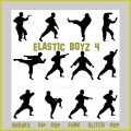 Electro Funk Machine - Celebrate