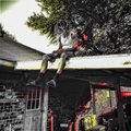 Veech、pooh、Shotta - not goin for it.freestyle (feat. Pooh & Shotta)(Explicit)