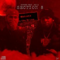 Section 8 (Explicit)