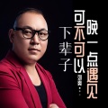 刘爽 - 下辈子可不可以晚一点遇见