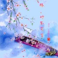 君恋红尘 - 难得今生相爱过