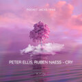 Peter Ellis、Ruben Naess - Cry (Extended Mix)