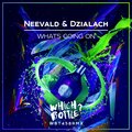 Neevald、Dzialach - Whats Going On (Extended Mix)