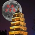 陕西花婆婆 - 1-五月山高麦穗香