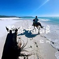 陪你去流浪