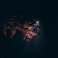 RIFLENDI - Не мои проблемы