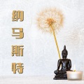 纳马斯特 - 体力