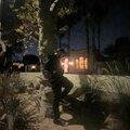 twingons - Prime17 (Explicit)