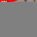SUMMER FOREVER 2016 AEROBIC SESSION 135 BPM / 32 COUNT