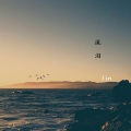Lin - 病玫瑰