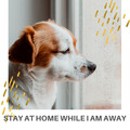 4 Dogs: Stay at Home While I am Away