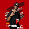 Stunner - What's up Homies (Explicit)