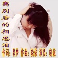 晓依 - 离别后的相思泪