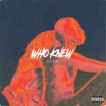 DeeVine - Who Knew (Explicit)