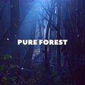 Pure Forest