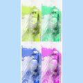 Water - Contemporary Artist