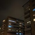 pls leave、Leander - 2002 (feat. leander)(Explicit)
