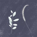 陈惠雯 - 平平淡淡简单的幸福