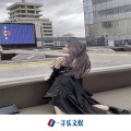 DJ YiXiu、Dj 拉芳 - Vina House (DJ版)