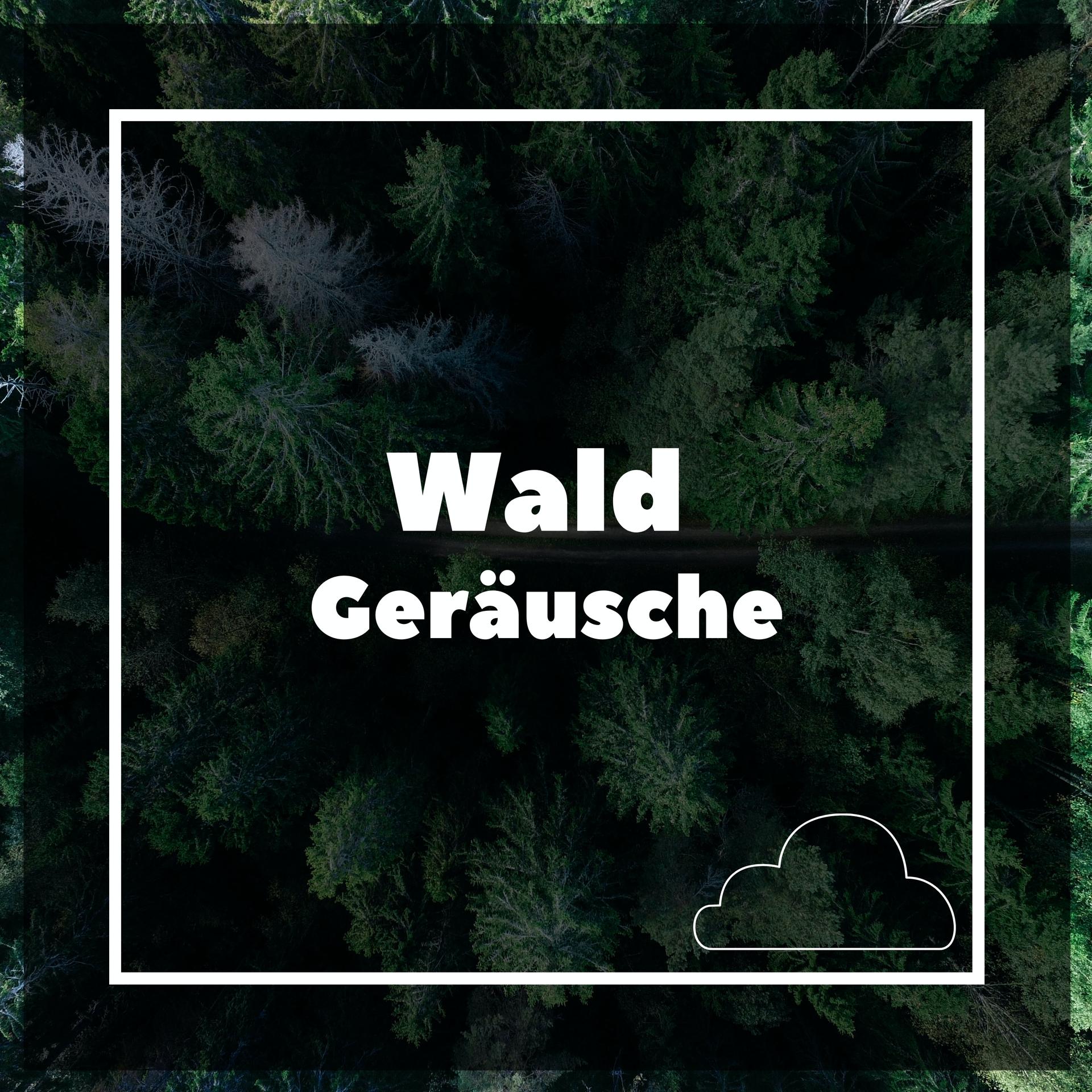 Entspannungsgeräusche - Wald Geräusche