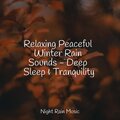 Exam Study Classical Music、Echoes Of Nature、Sleep Sounds of Nature - LoFi Rain on Window