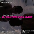 Rynx Gaming、Mizan Trap - DJ Salting (MizanTrapRemix)