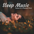 Spirit Minds、Sleep Music Guys、Sleep Music System - Entertaining Tonality