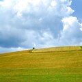 40 Soothing Melodies for Relaxing Mother and Chill Ambience