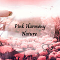 The Calm Music Crew、Music For Cats and Dogs、Baby Sleep Lullaby Academy - Waterfall Sensation
