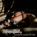 Baby Sleep TaTaTa、Baby Sleep Music、Baby Songs Orchestra - Sleepaholic