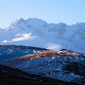 雪狼恋