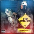 Youngs Teflon - Stay Dangerous (Explicit)