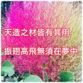 李小姐 - 眼泪为你流