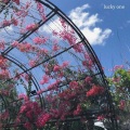 Mich - Lucky one
