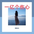 柳若水 - 无限个伤心