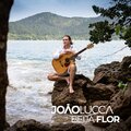 Beija-Flor