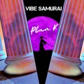 Plan K - Vibe Samurai (Explicit)