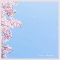 Prithvi - Cherry Blossoms
