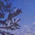 Prithvi - Haze