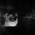 Consumane - Misery