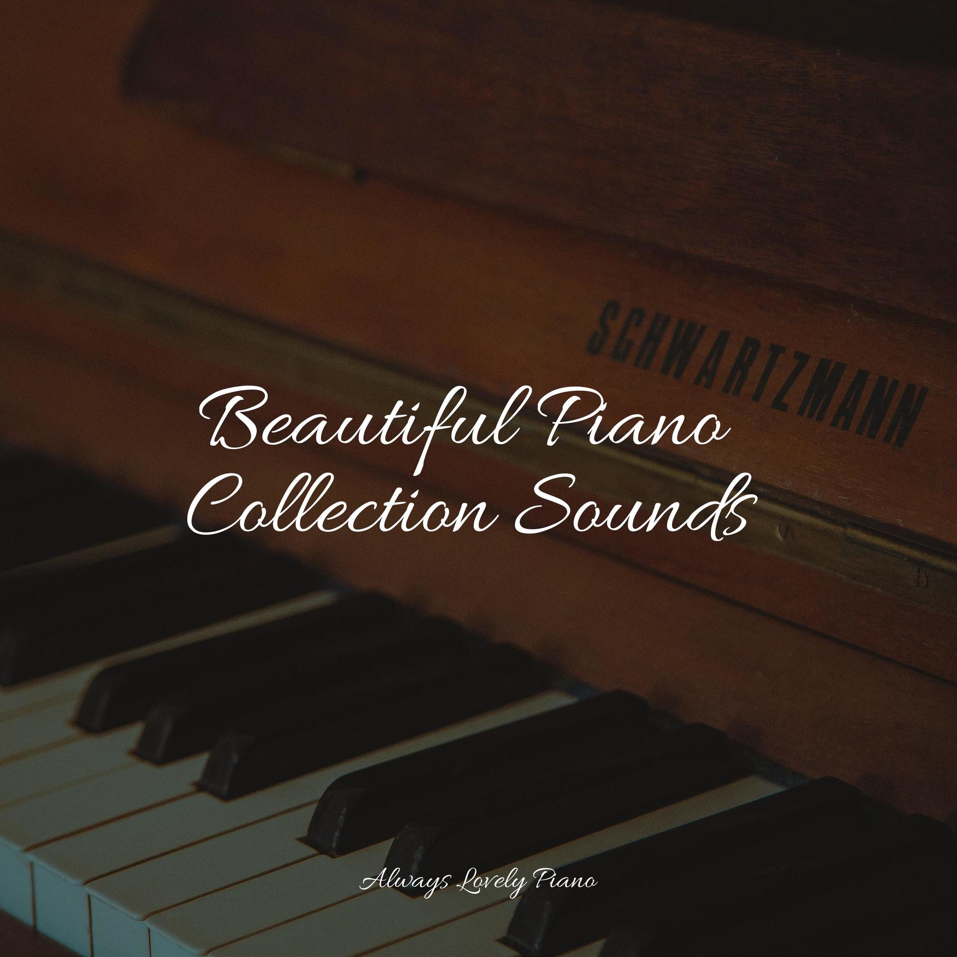 Piano Time、Baby Sleep Music、Piano Shades - Schumann Fantasiestücke, Op. 12 III. Warum