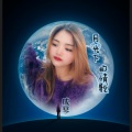 骆晓峰 - 月光下的情歌 (成琴)